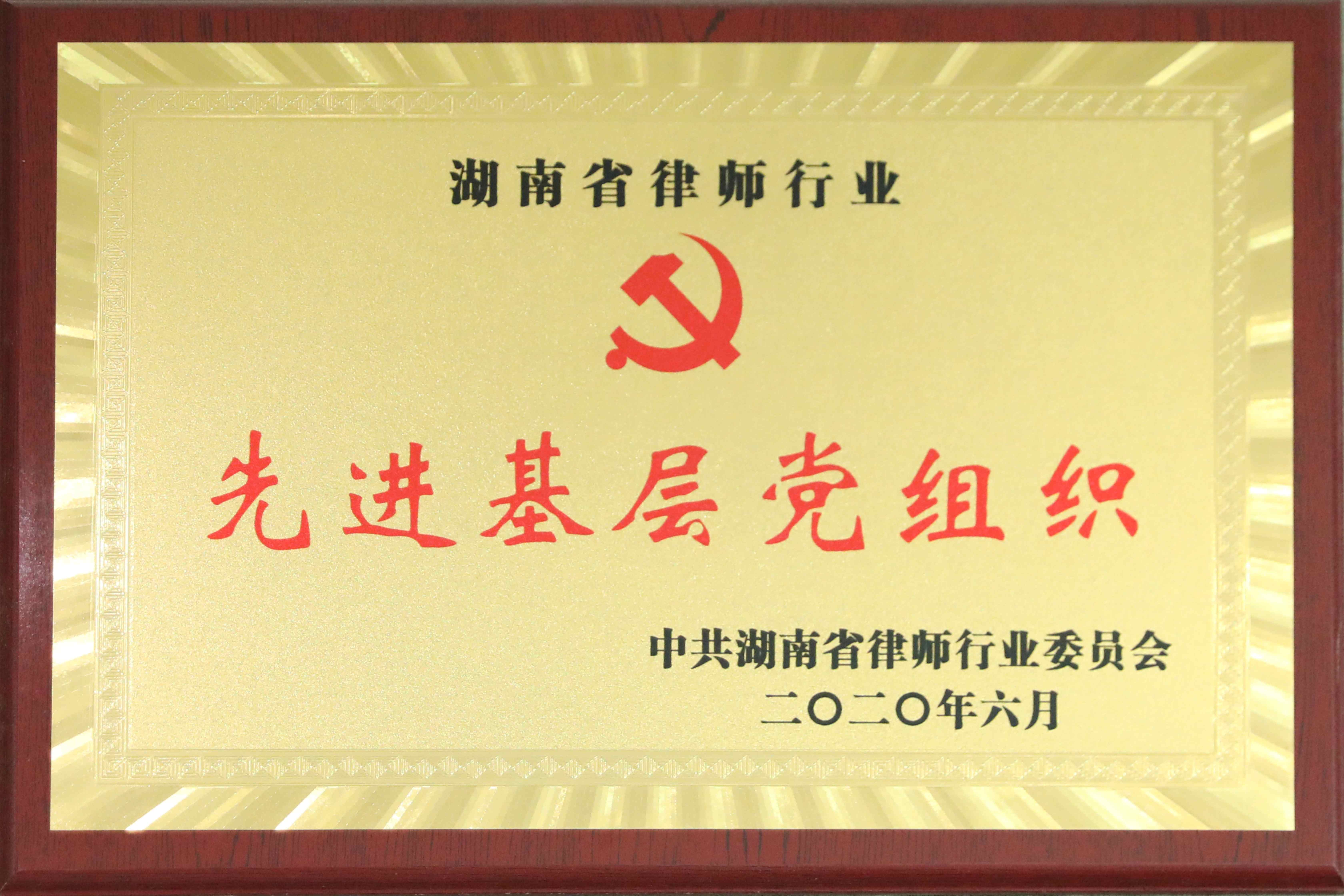 2020年湖南省律师行业先进基层党组织