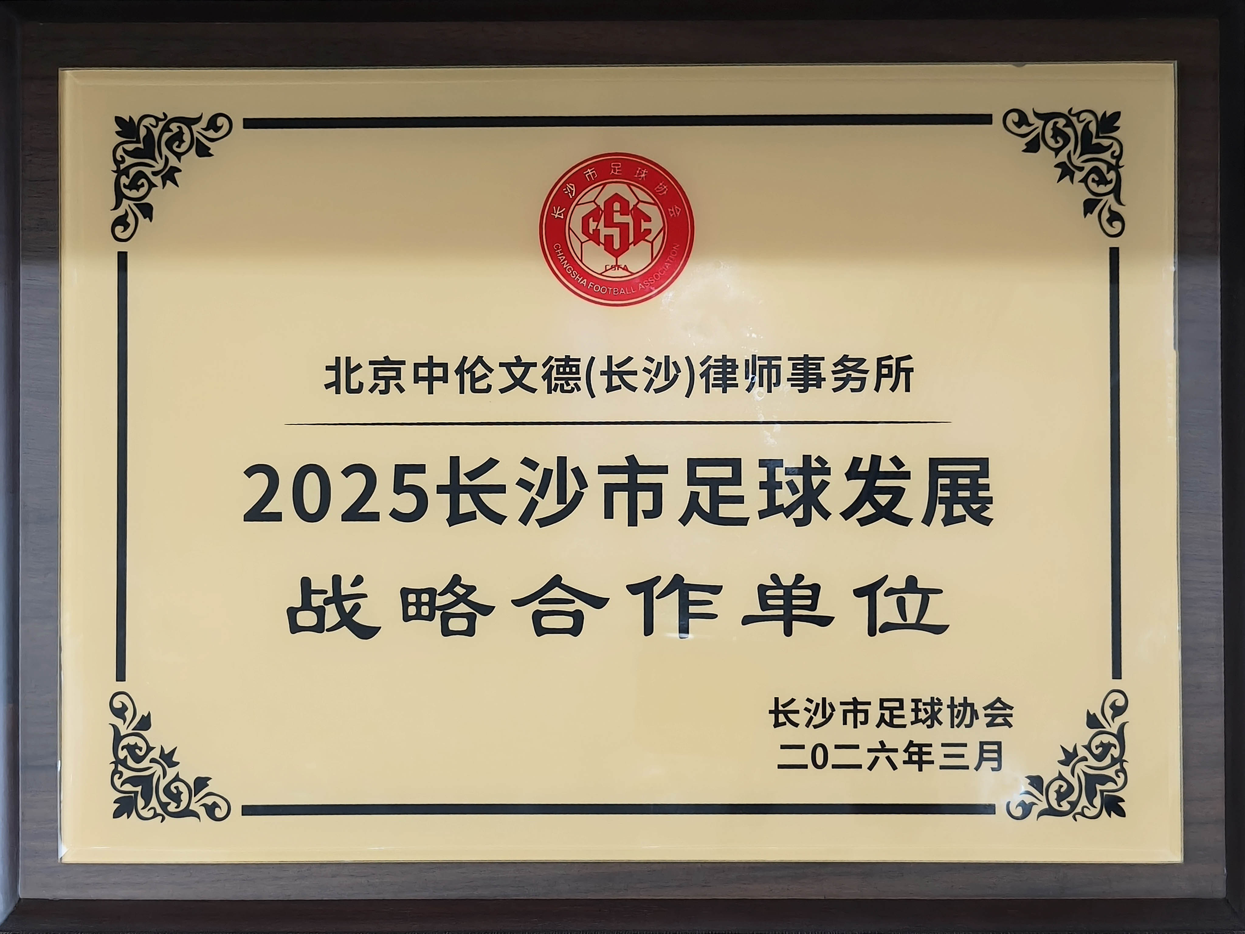 长沙市足球协会 发展战略合伙单位