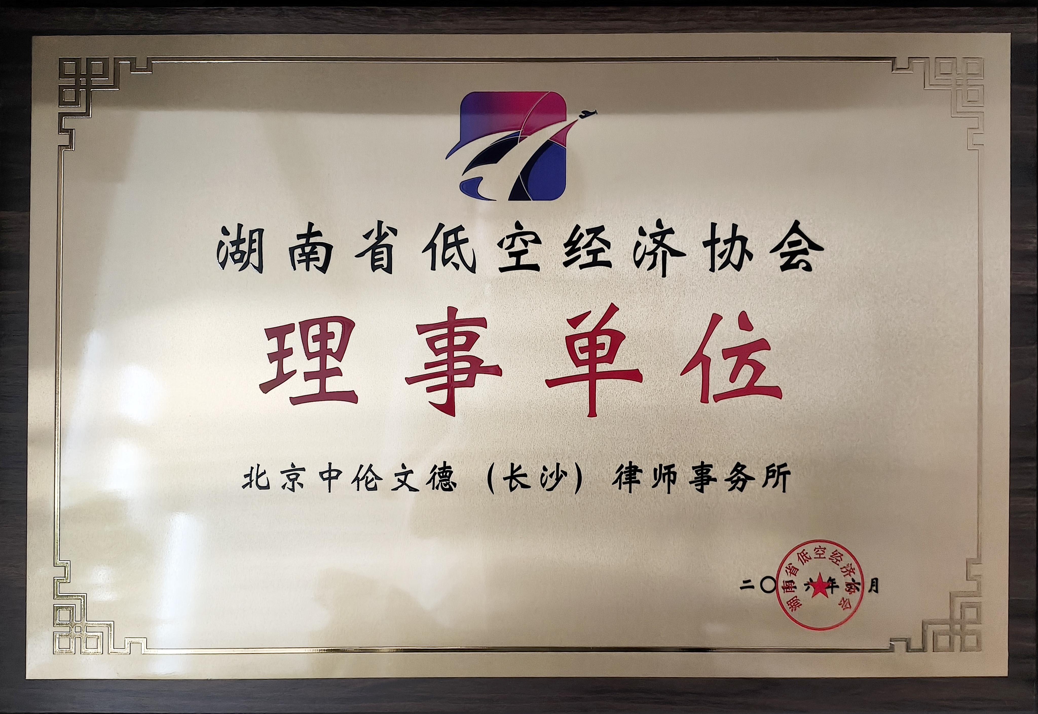 湖南省低空经济协会 理事单位